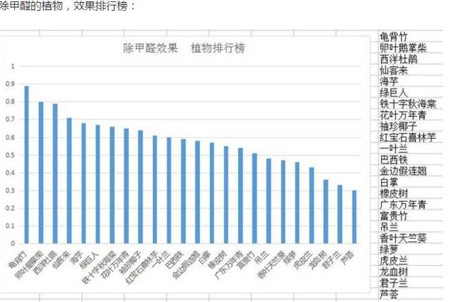 入住新家两年孩子查出白血病！甲醛该怎么破？这些方法太实用了