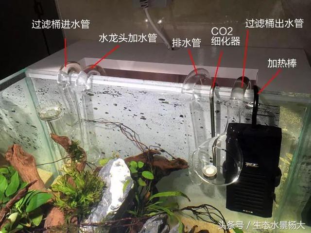 如何在草缸制作中解决换水难题