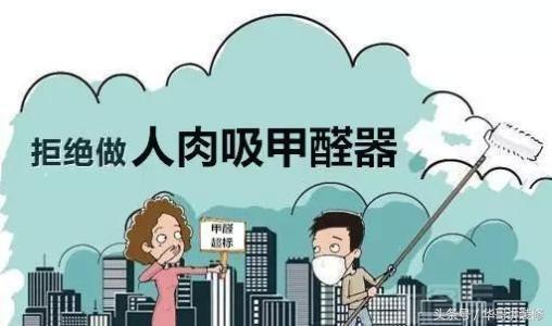 哪几种去除甲醛最有效？试过的人2周内就入住新房！