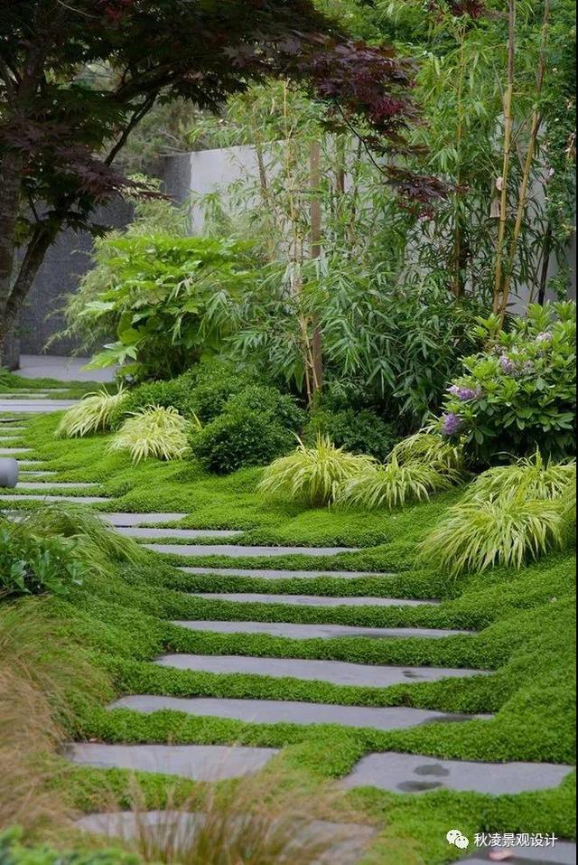 别墅庭院风景——道路、植物