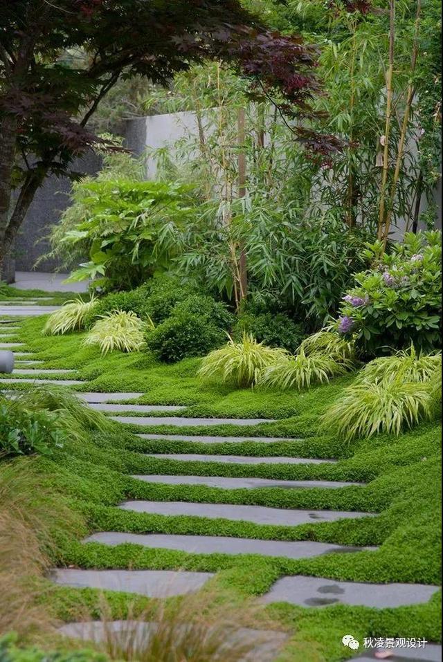 别墅庭院风水——道路、植物