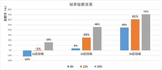 杭州魏老爸为验证绿萝除甲醛效果，买50盆进行测试，却发现……