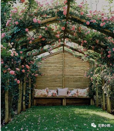 如果有院子，一定要造一个花架，美翻天！
