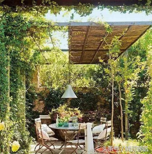 庭院小景——廊架让你的庭院变得更美