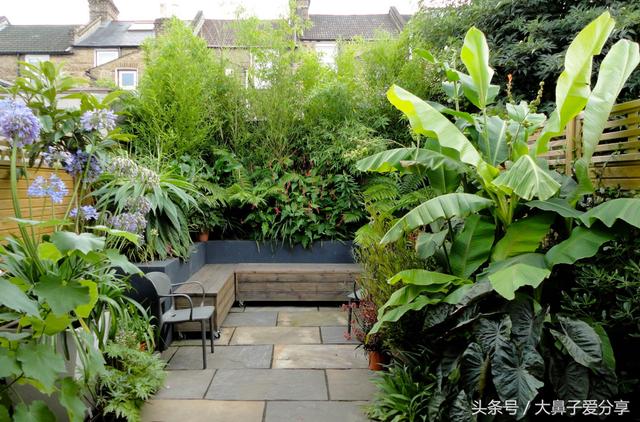 前后对比改造庭院，让自己的生活融入自然，在庭院中营造自由空间