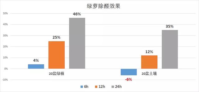 杭州魏老爸为验证绿萝除甲醛效果，买50盆进行测试，却发现……