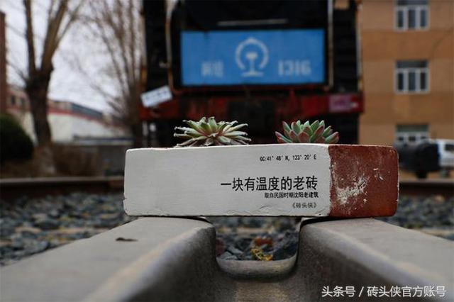 设计师为了省钱，用老青砖切片做出高逼格效果，客流量提高10倍