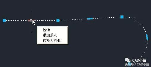 CAD中对夹点可进行哪些操作？