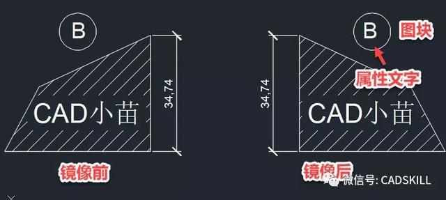 CAD镜像命令需要了解的知识