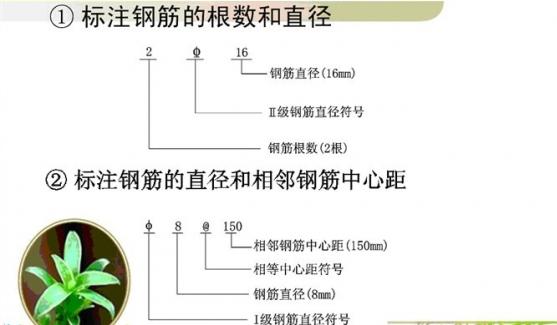 零基础也能看懂钢筋配筋图，10张图高效率领你入门